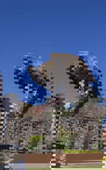 Kalba Birds of Prey Centre Workshops