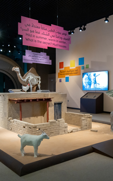 Little Archaeologist Hall