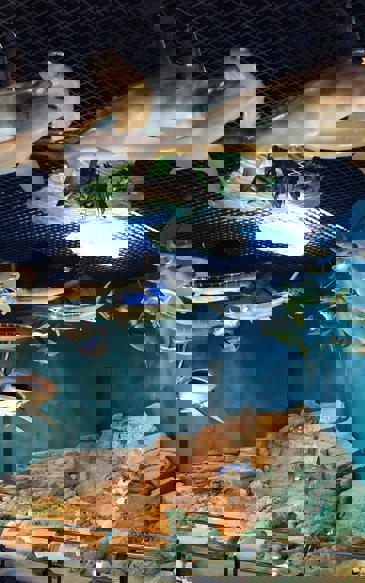 Natural History & Botanical Museum Workshops