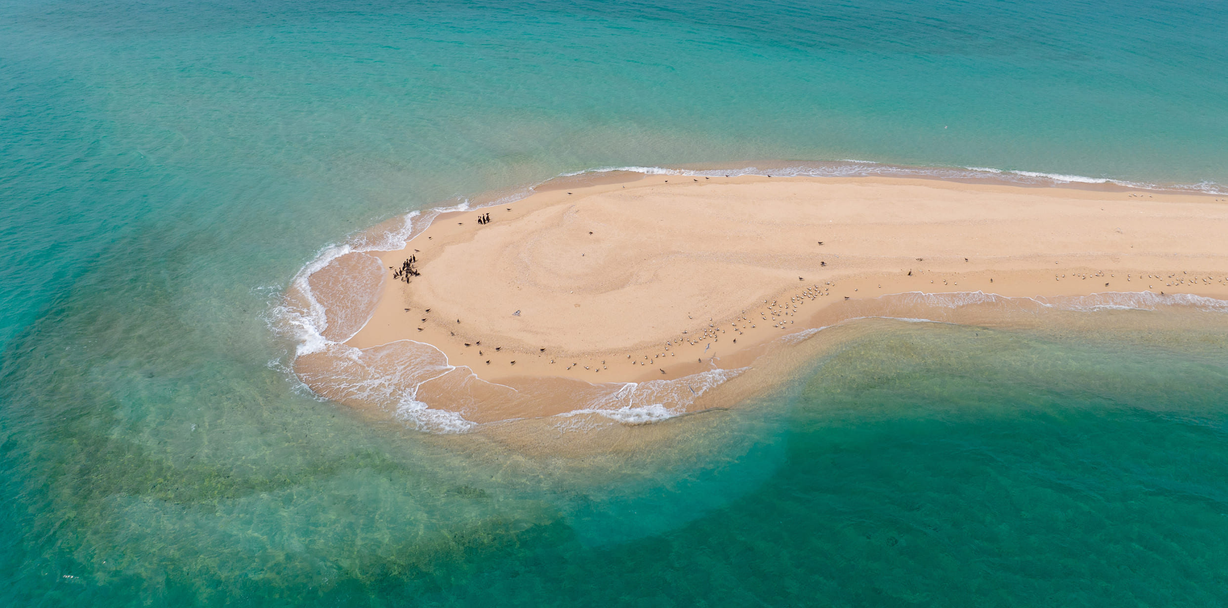 Sir Abu Nu'ayr Island