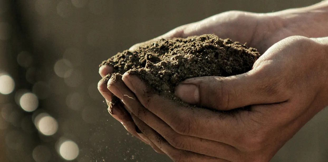 افتتاح حديقة صير بو نعير