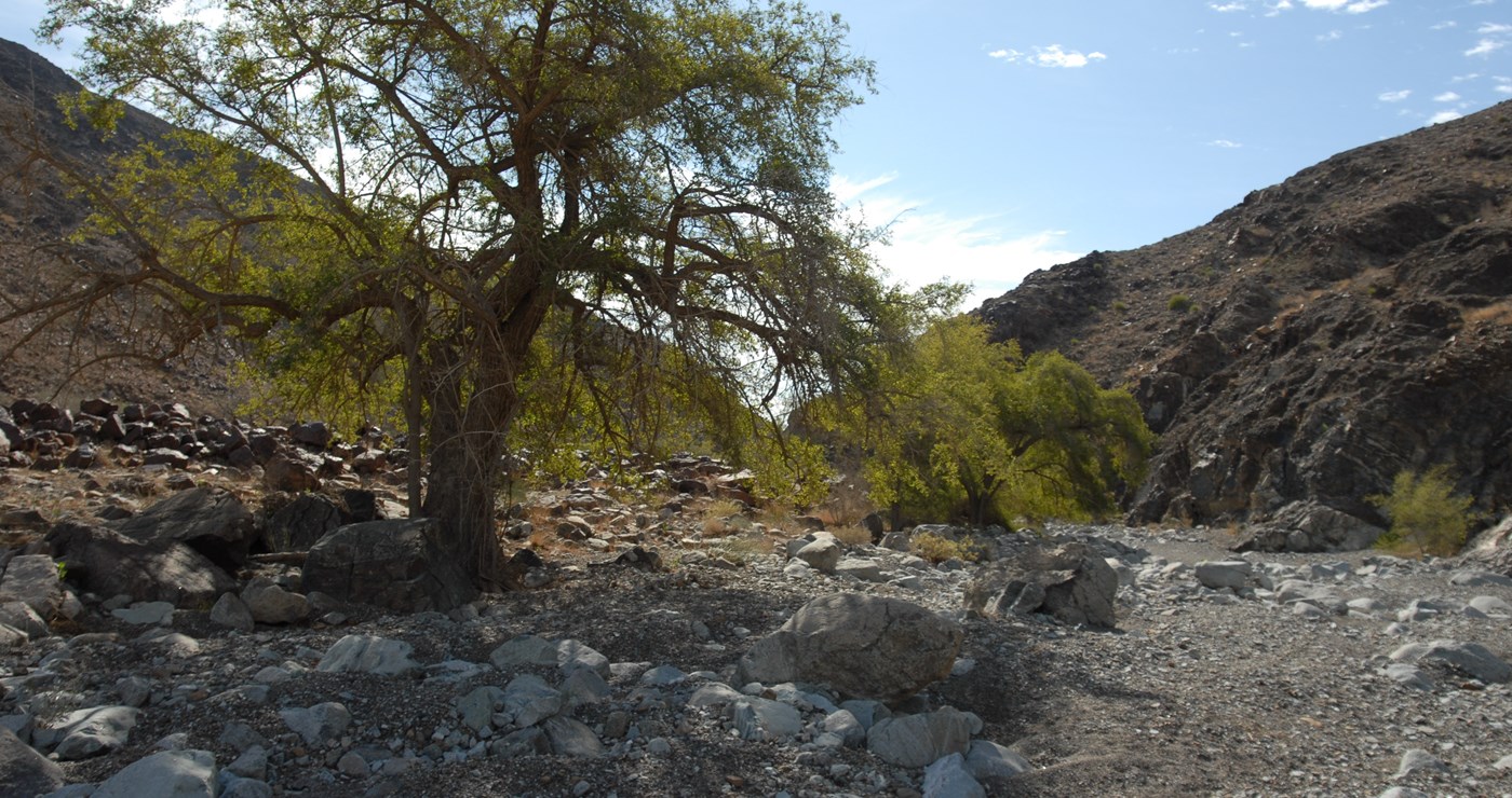 Umbraco.Cms.Core.Models.MediaWithCrops`1[Umbraco.Cms.Web.Common.PublishedModels.Image]??.Name