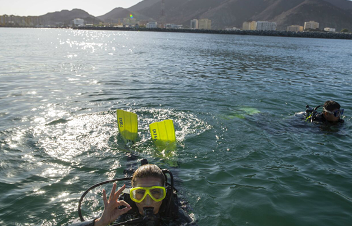 Diving In Khorfakkan