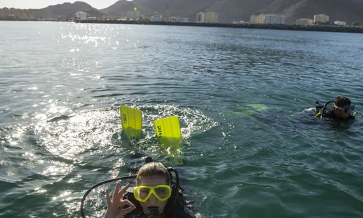 Diving In Khorfakkan