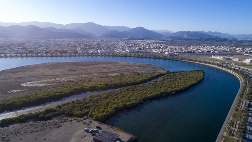 Umbraco.Cms.Core.Models.MediaWithCrops`1[Umbraco.Cms.Web.Common.PublishedModels.Image]??.Name