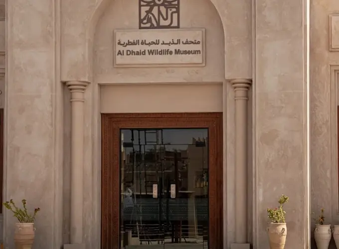 Al Dhaid Wildlife Museum Resized