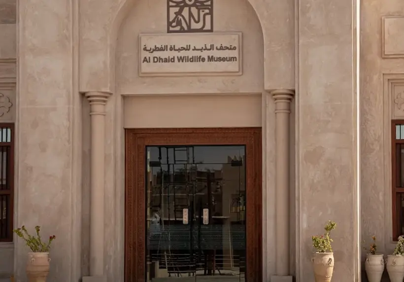 Al Dhaid Wildlife Museum Resized