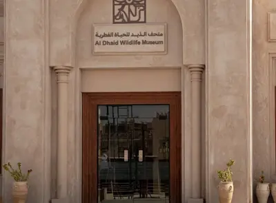 Al Dhaid Wildlife Museum Resized