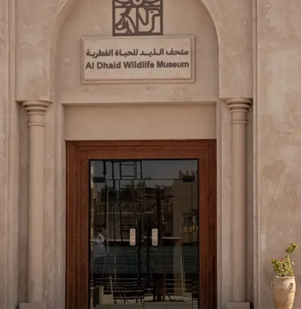 Al Dhaid Wildlife Museum Resized