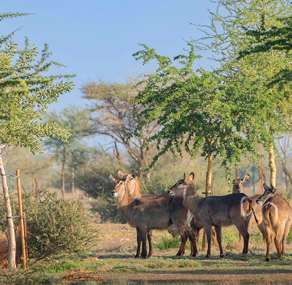 Umbraco.Cms.Core.Models.MediaWithCrops`1[Umbraco.Cms.Web.Common.PublishedModels.Image]??.Name