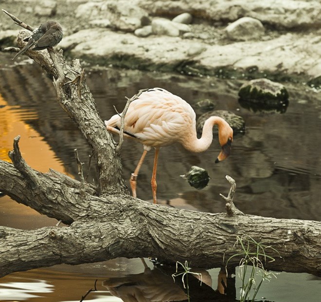 Umbraco.Cms.Core.Models.MediaWithCrops`1[Umbraco.Cms.Web.Common.PublishedModels.Image]??.Name