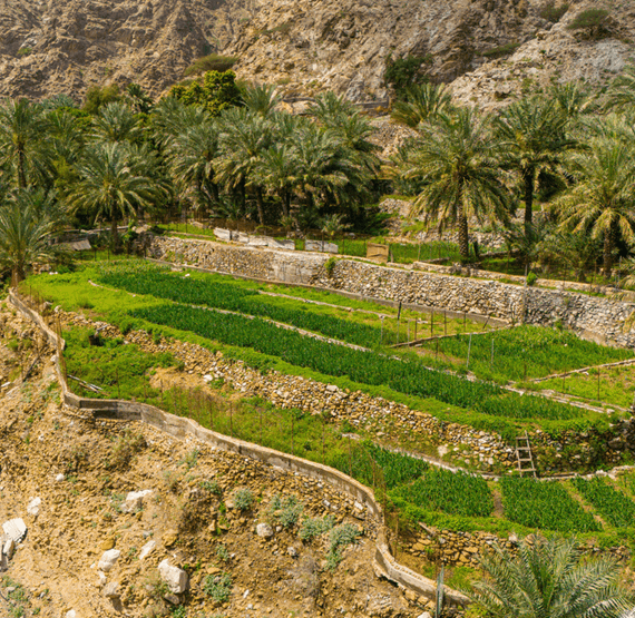 Umbraco.Cms.Core.Models.MediaWithCrops`1[Umbraco.Cms.Web.Common.PublishedModels.Image]??.Name