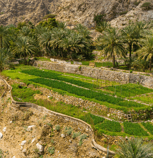 Dji 20240308121822 0079 D