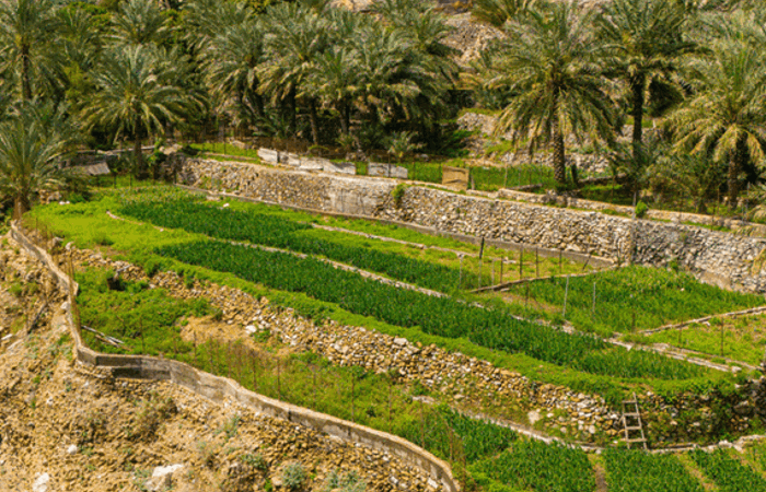 Dji 20240308121822 0079 D