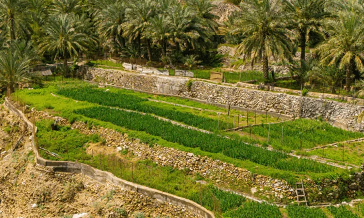 Dji 20240308121822 0079 D