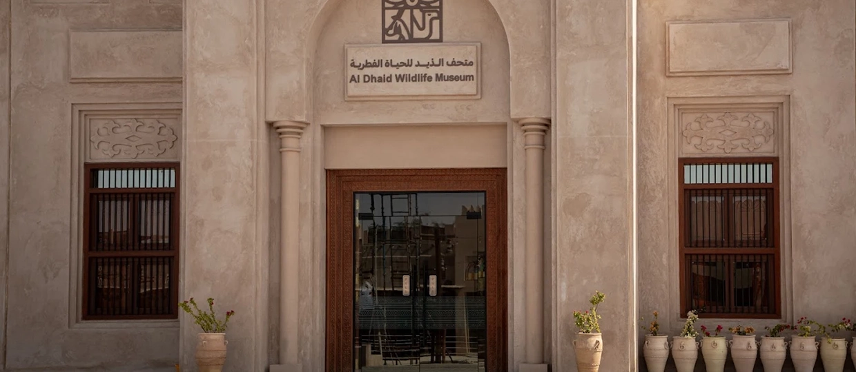 al-dhaid-wildlife-museum-resized.webp
