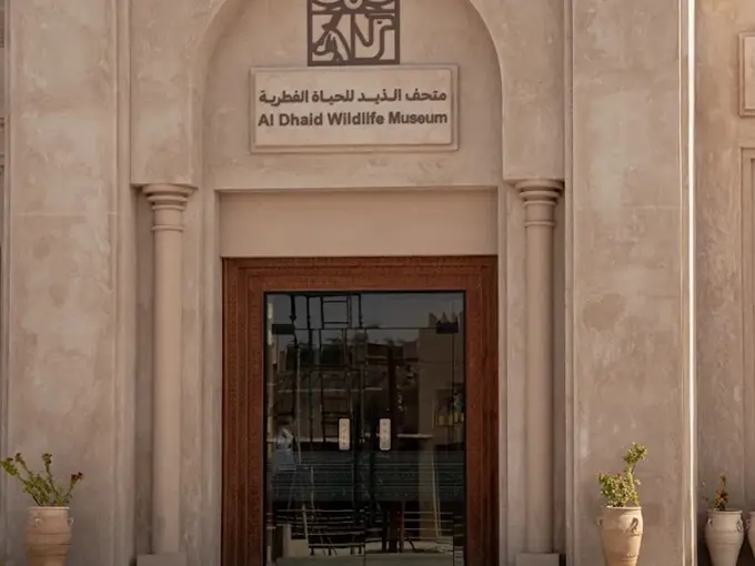 al-dhaid-wildlife-museum-resized.webp