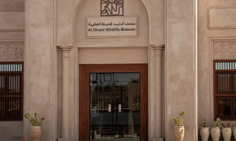 al-dhaid-wildlife-museum-resized.webp