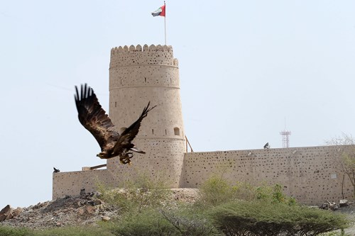 Umbraco.Cms.Core.Models.MediaWithCrops`1[Umbraco.Cms.Web.Common.PublishedModels.Image]??.Name