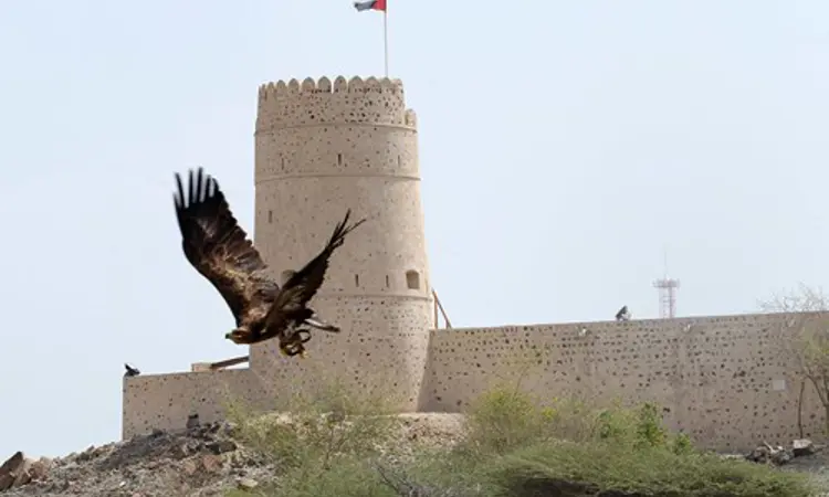 Kalba Birds Centre
