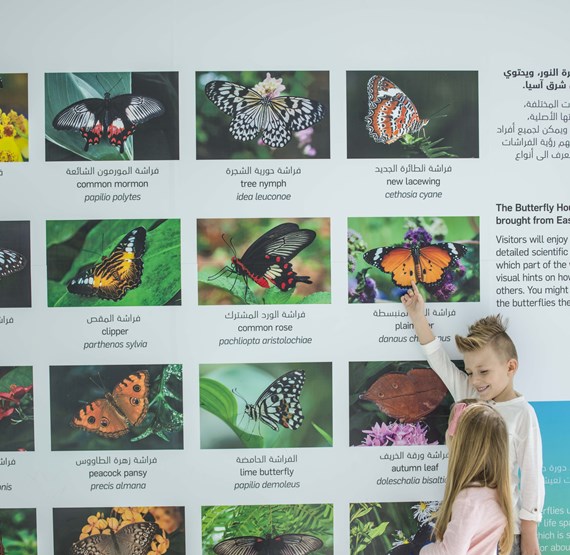 Umbraco.Cms.Core.Models.MediaWithCrops`1[Umbraco.Cms.Web.Common.PublishedModels.Image]??.Name