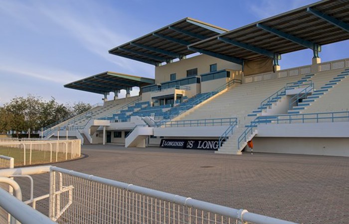 SHJ Equestraian Racing1