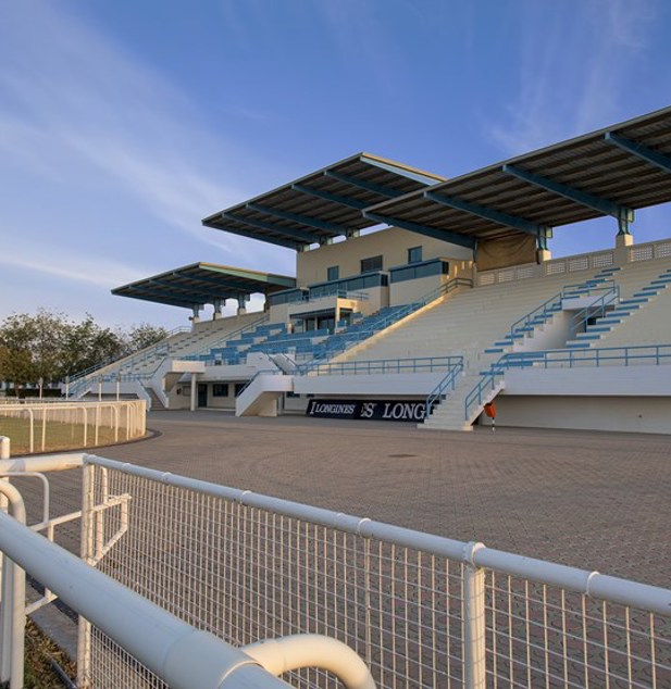 SHJ Equestraian Racing1