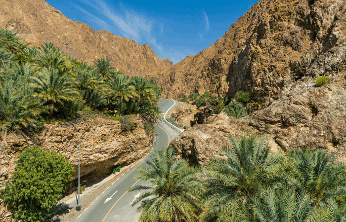 Dji 20240308111018 0004 D