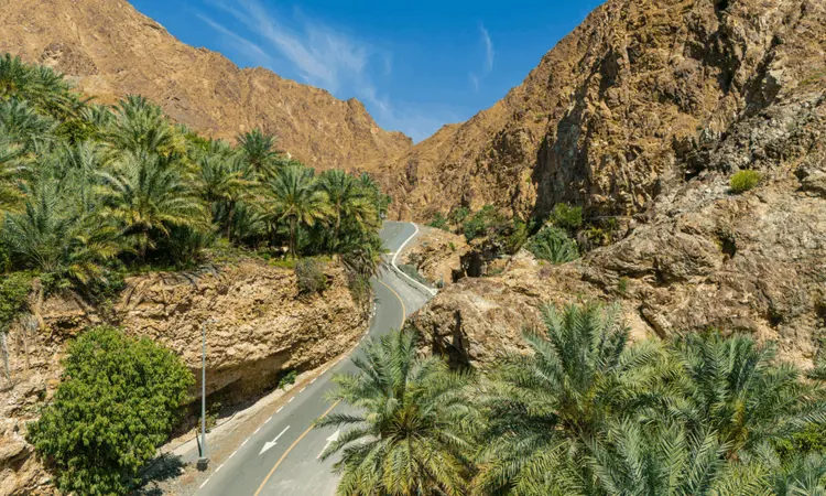 Dji 20240308111018 0004 D