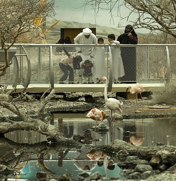 Arabias Wildlife Centre3