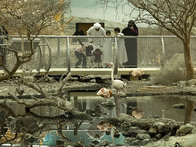 Arabia's Wildlife Centre