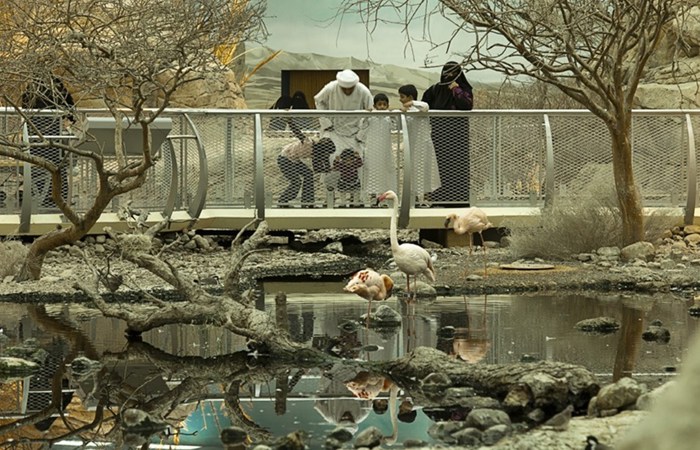 Arabias Wildlife Centre3