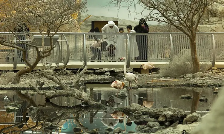 Arabias Wildlife Centre3