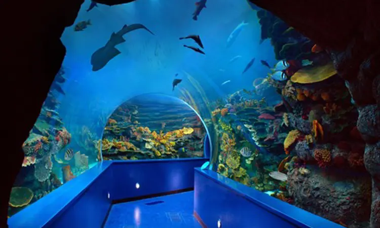 Sharjah Aquarium2