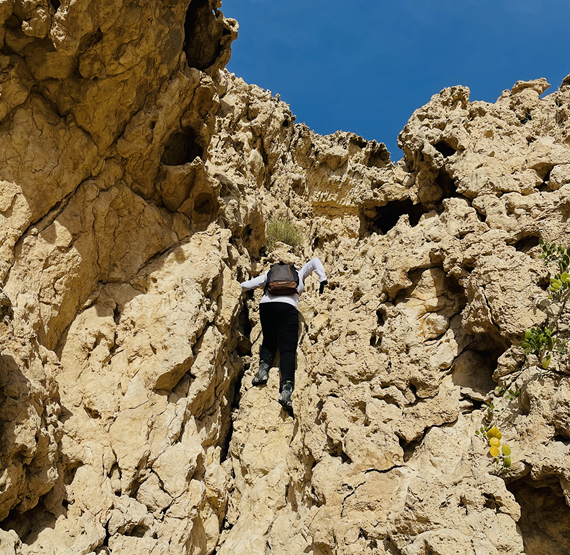 Umbraco.Cms.Core.Models.MediaWithCrops`1[Umbraco.Cms.Web.Common.PublishedModels.Image]??.Name