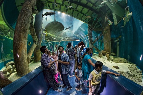 Umbraco.Cms.Core.Models.MediaWithCrops`1[Umbraco.Cms.Web.Common.PublishedModels.Image]??.Name