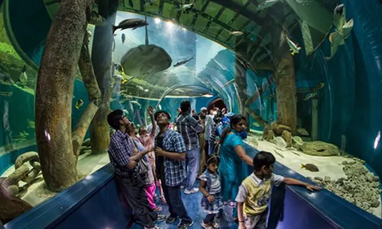 Sharjah Aquarium1