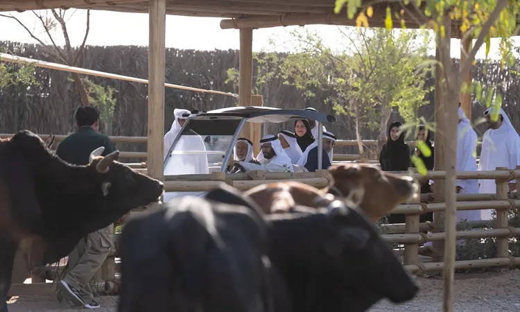 fili-farm.webp