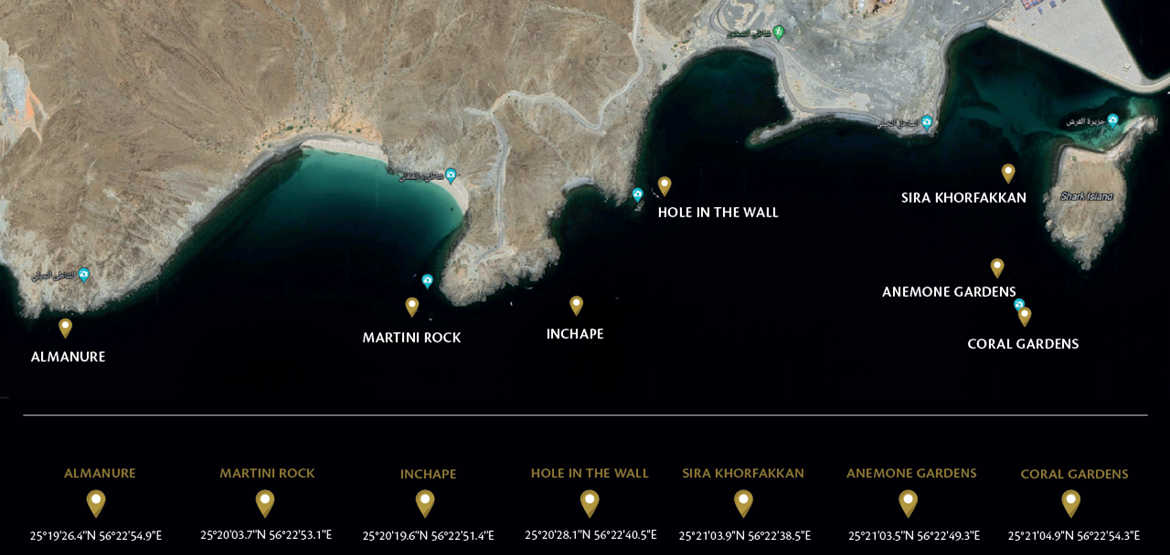 Umbraco.Cms.Core.Models.MediaWithCrops`1[Umbraco.Cms.Web.Common.PublishedModels.Image]??.Name