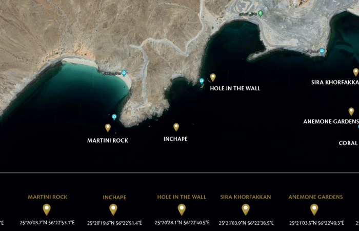 Diving In Khorfakkan2