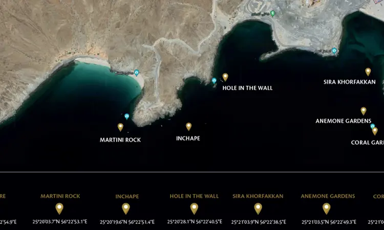 Diving In Khorfakkan2