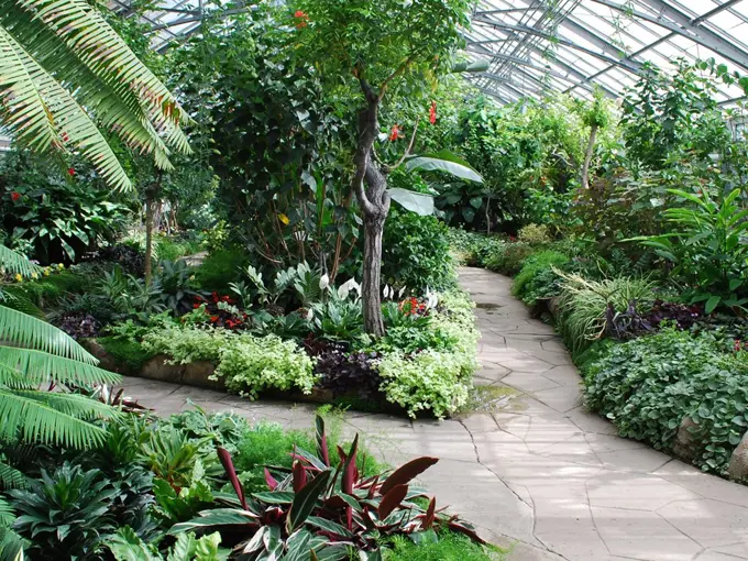 Islamic Botanical Garden