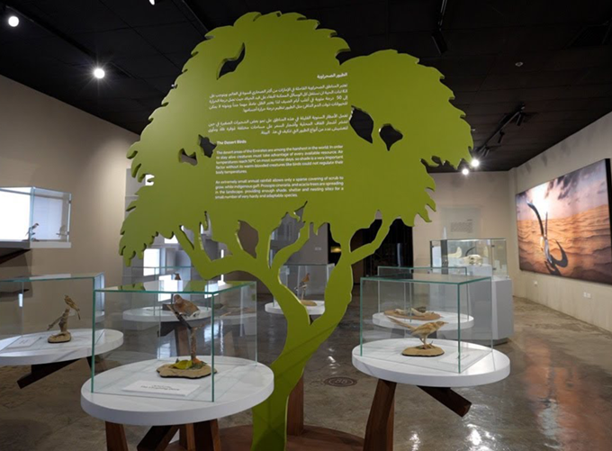 Al Dhaid Wildlife Center