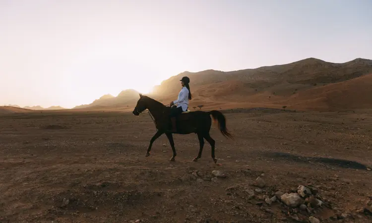 Large Moon Retreat 4