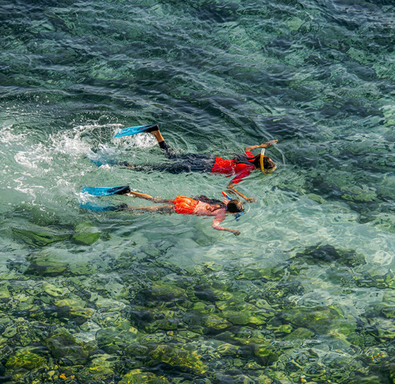 Umbraco.Cms.Core.Models.MediaWithCrops`1[Umbraco.Cms.Web.Common.PublishedModels.Image]??.Name