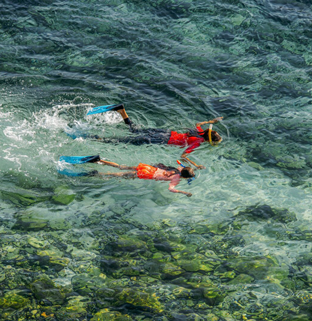 Diving In Khorfakkan1