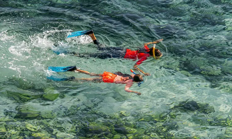 Diving In Khorfakkan1