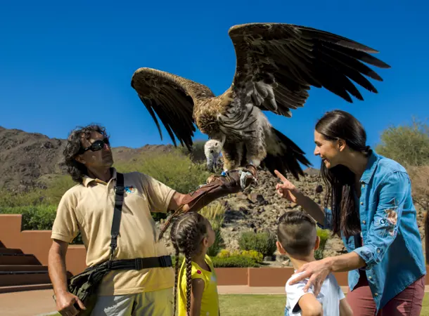 Things To Do Img 3 (3)