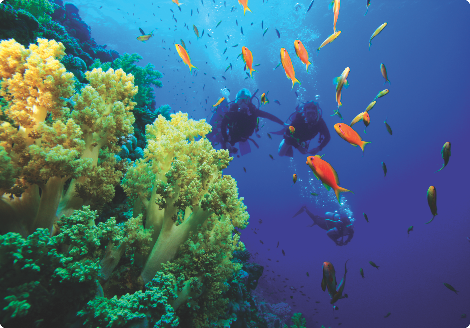 Things To Do Img 2 (3)