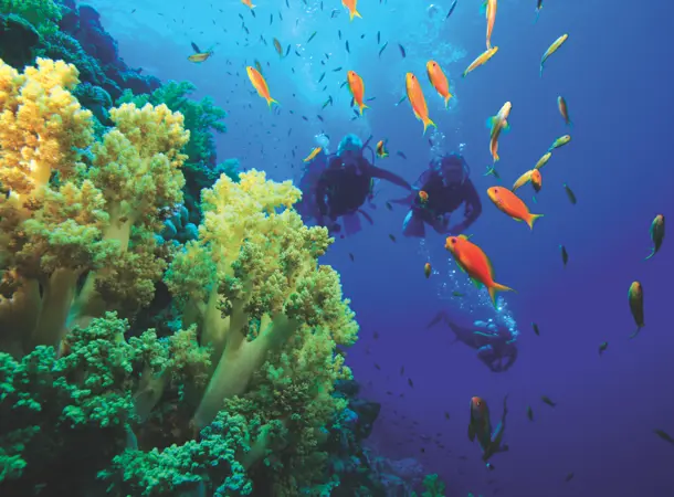 Things To Do Img 2 (3)